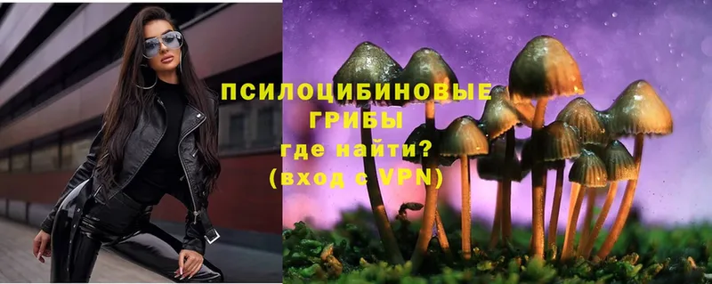 Псилоцибиновые грибы MAGIC MUSHROOMS  даркнет сайт  Кимры 